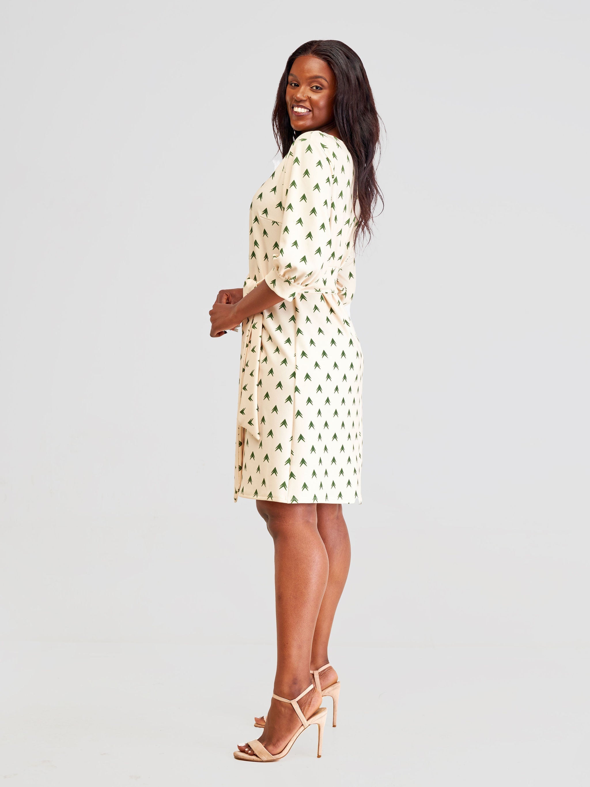 Vivo Imara 3/4 Sleeve A-Line Dress - Taupe / Hunters Lana Print