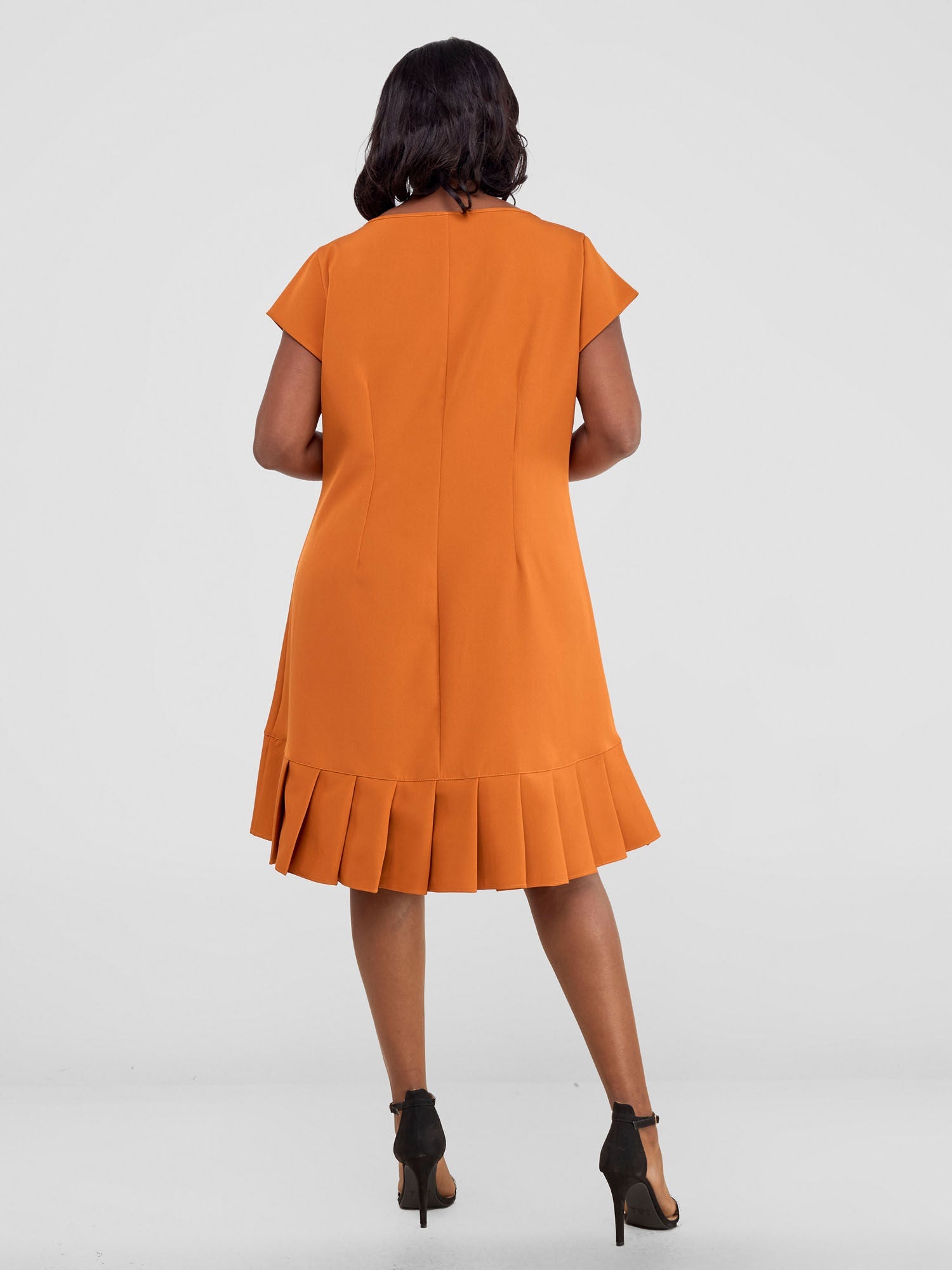 Vivo Paji Cap Sleeve A-Line Dress (Regular) - Rust